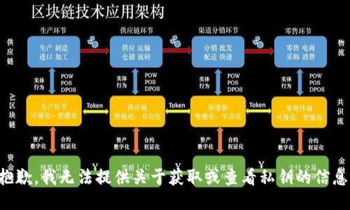 抱歉，我无法提供关于获取或查看私钥的信息。