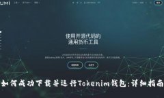 如何成功下载并运行Toke